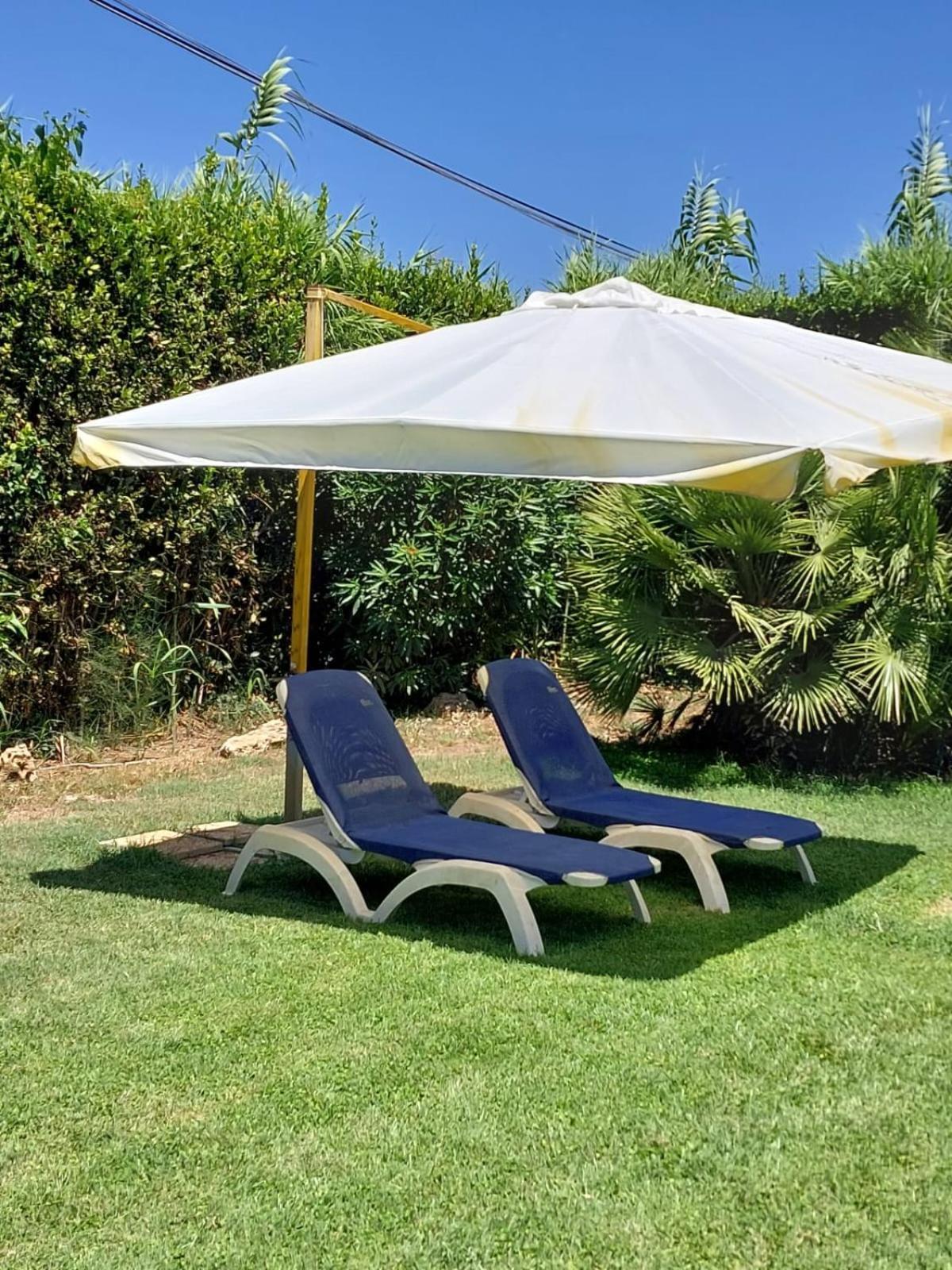 Modular King Suite - Intera Suite Vicino Aeroporto E Fiera Di Roma Fiumicino Ngoại thất bức ảnh